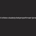 Det britiske skadedyrbekjemperfirmaet tjener 9 millioner pund på PPE-avtalen ‘VIP Lane’ under pandemi |  koronaviruset